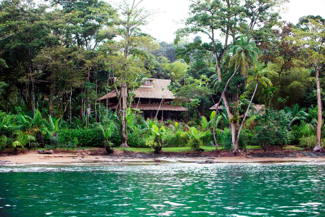 Copa de Árbol Beach & Rainforest Resort tucked into the jungle by the beach in Corcovado.